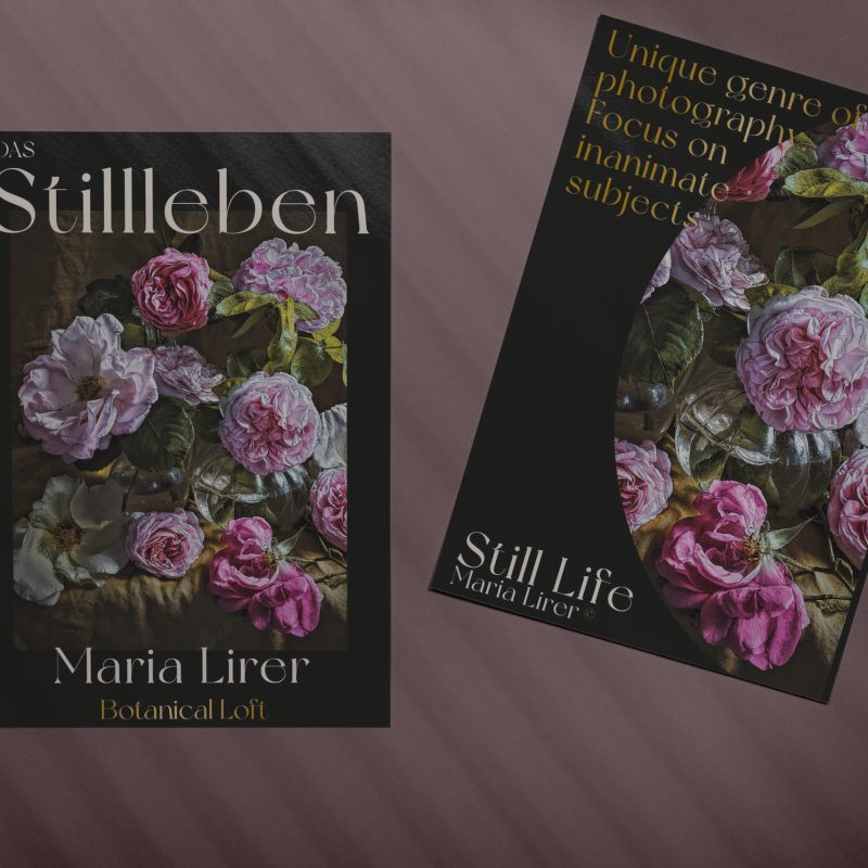 maria lirer plakate